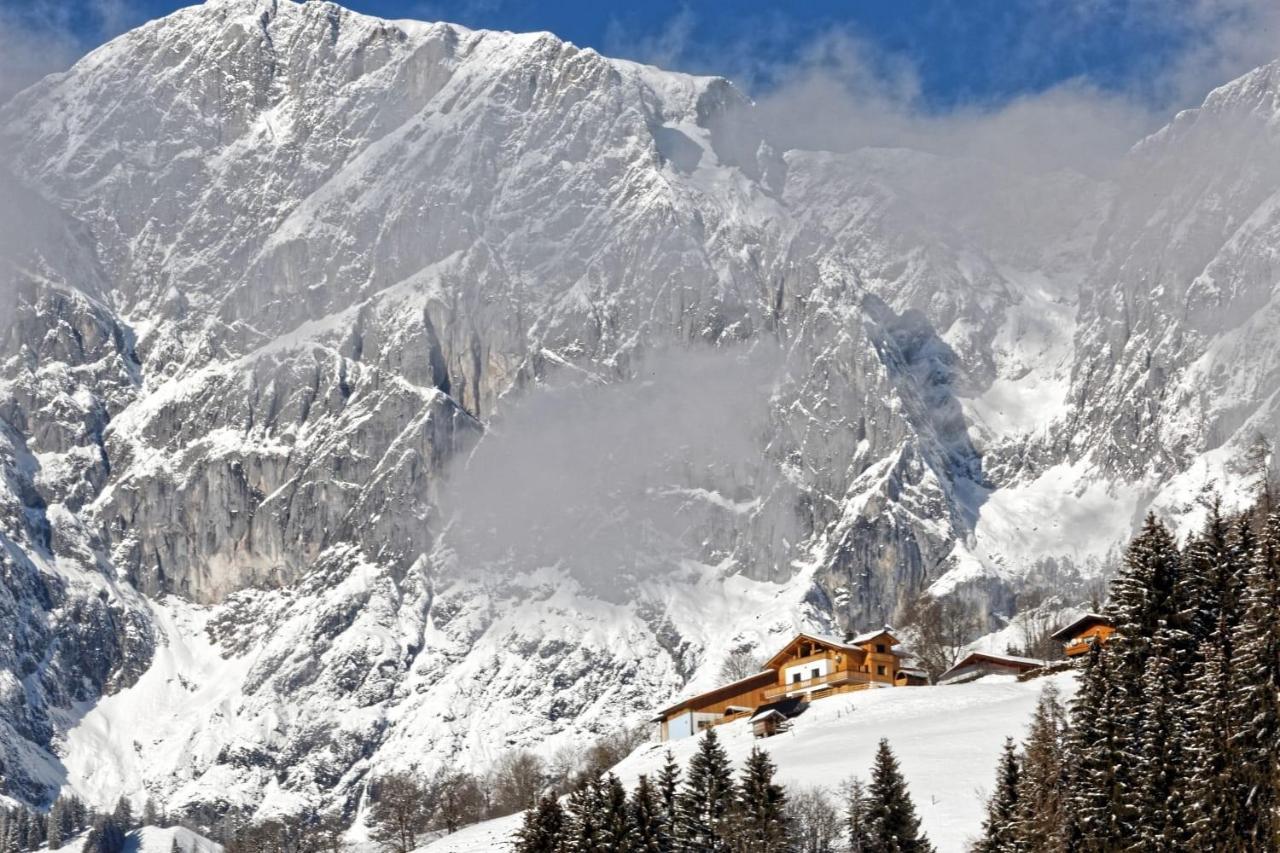 Gut Stein Panoramalodge Muhlbach Am Hochkonig Bagian luar foto
