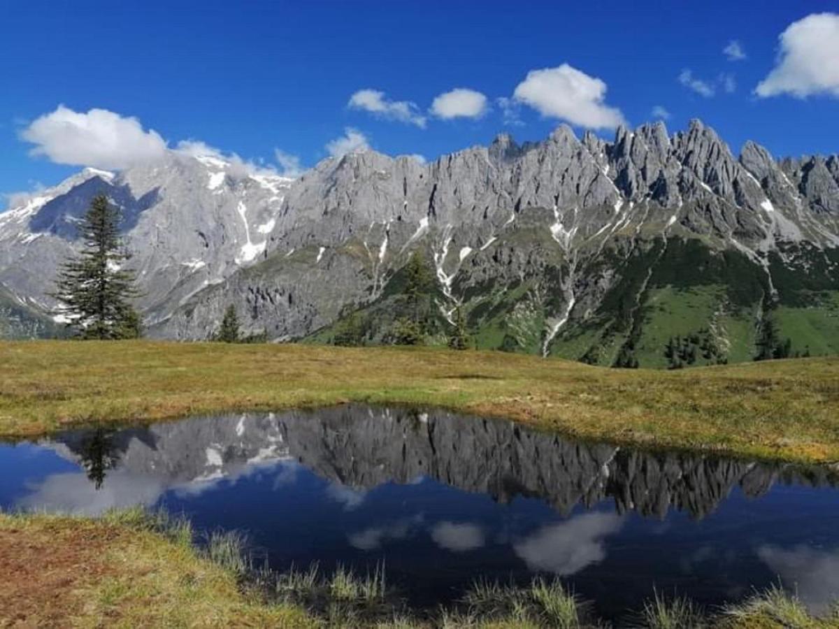 Gut Stein Panoramalodge Muhlbach Am Hochkonig Bagian luar foto